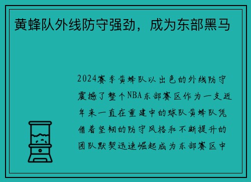 黄蜂队外线防守强劲，成为东部黑马